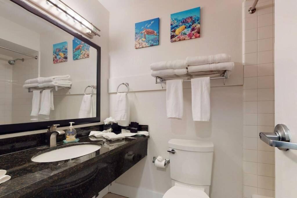 Sea Breeze, Studio 510, Beach Steps Away!+Pool+Wifi Ruskin Ngoại thất bức ảnh