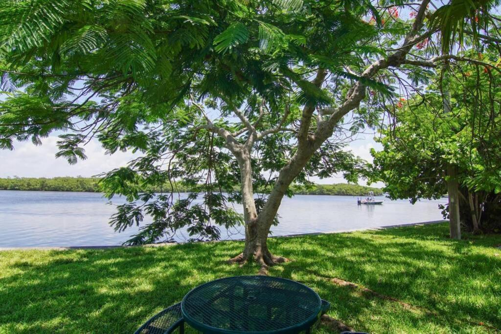 Sea Breeze, Studio 510, Beach Steps Away!+Pool+Wifi Ruskin Ngoại thất bức ảnh